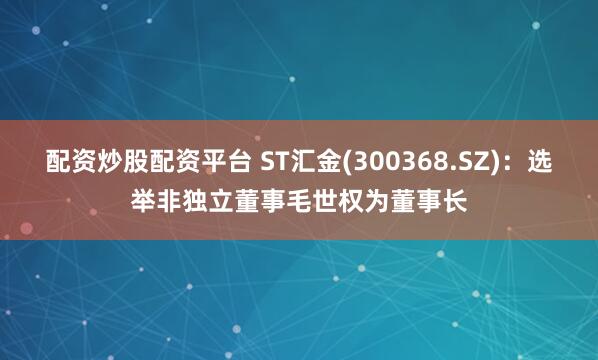 配资炒股配资平台 ST汇金(300368.SZ)：选举非独立董事毛世权为董事长