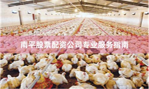 南平股票配资公司专业服务指南